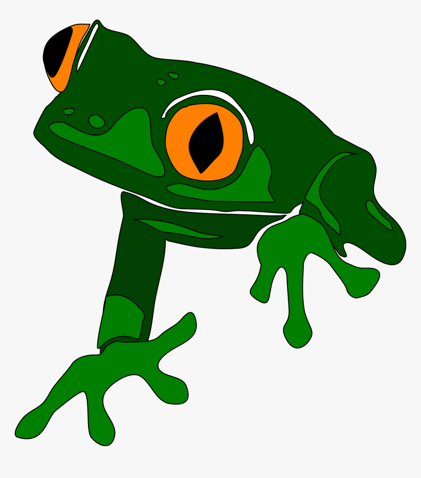 Frog, Animal, Cute, Amphibian, Green, Tropical, Exotic - Group Of Frog Is Called, HD Png Download
