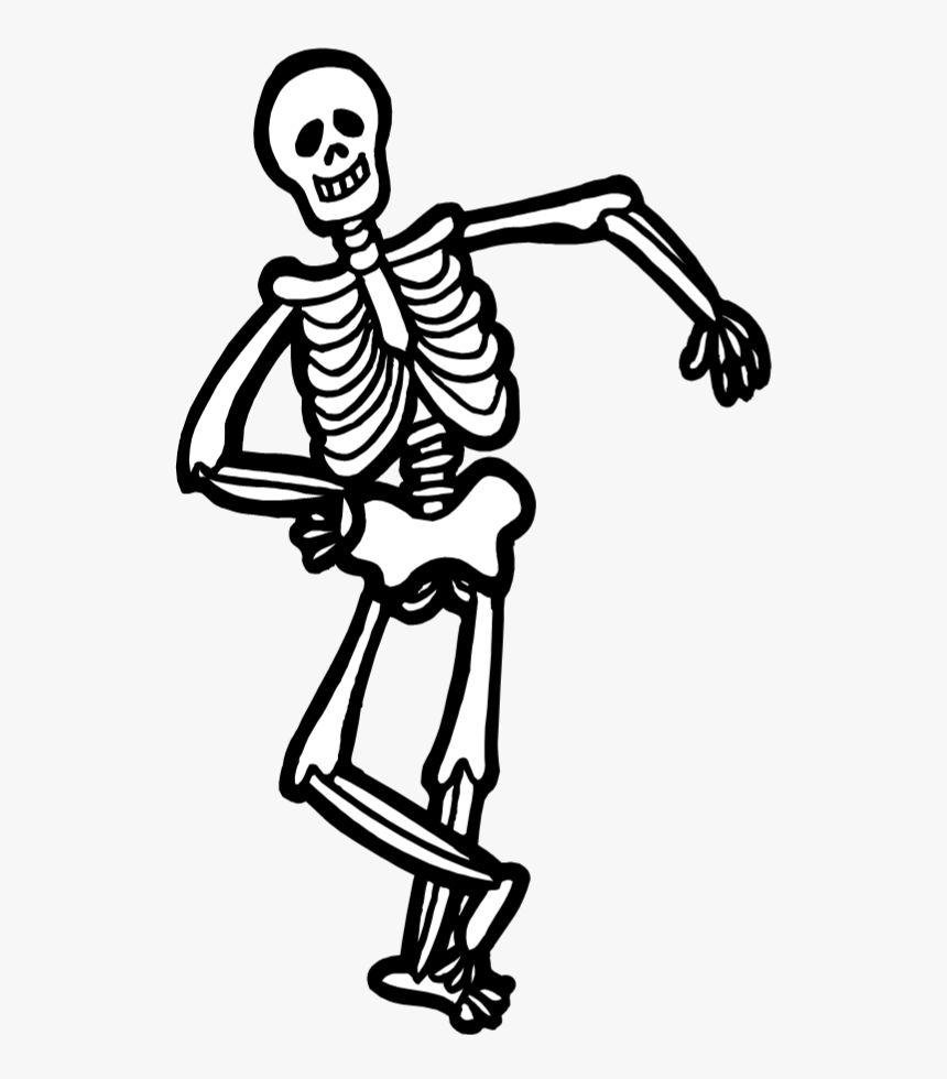 Skeleton Clipart Child Transparent - Skeleton Clipart Png, Png Download