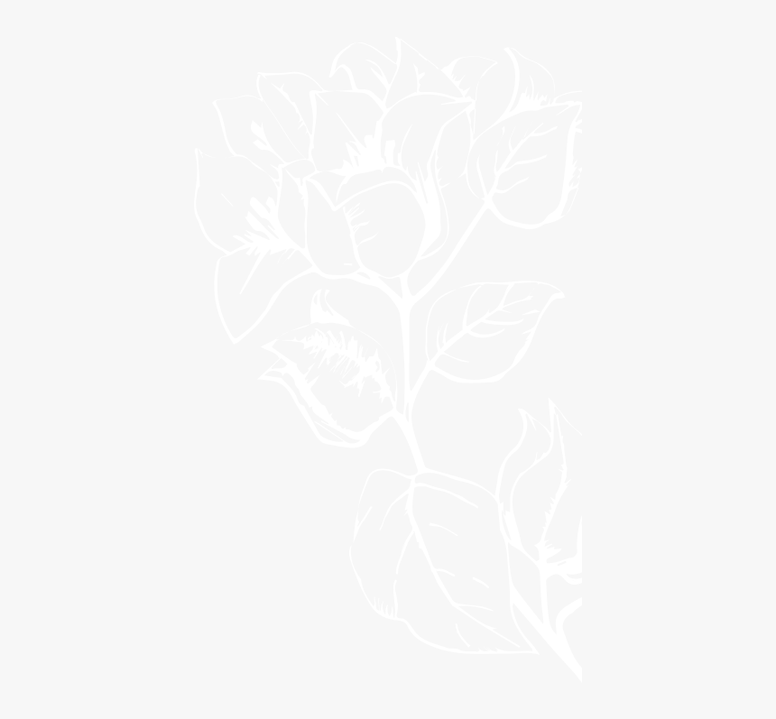 Flower Background Image - Illustration, HD Png Download