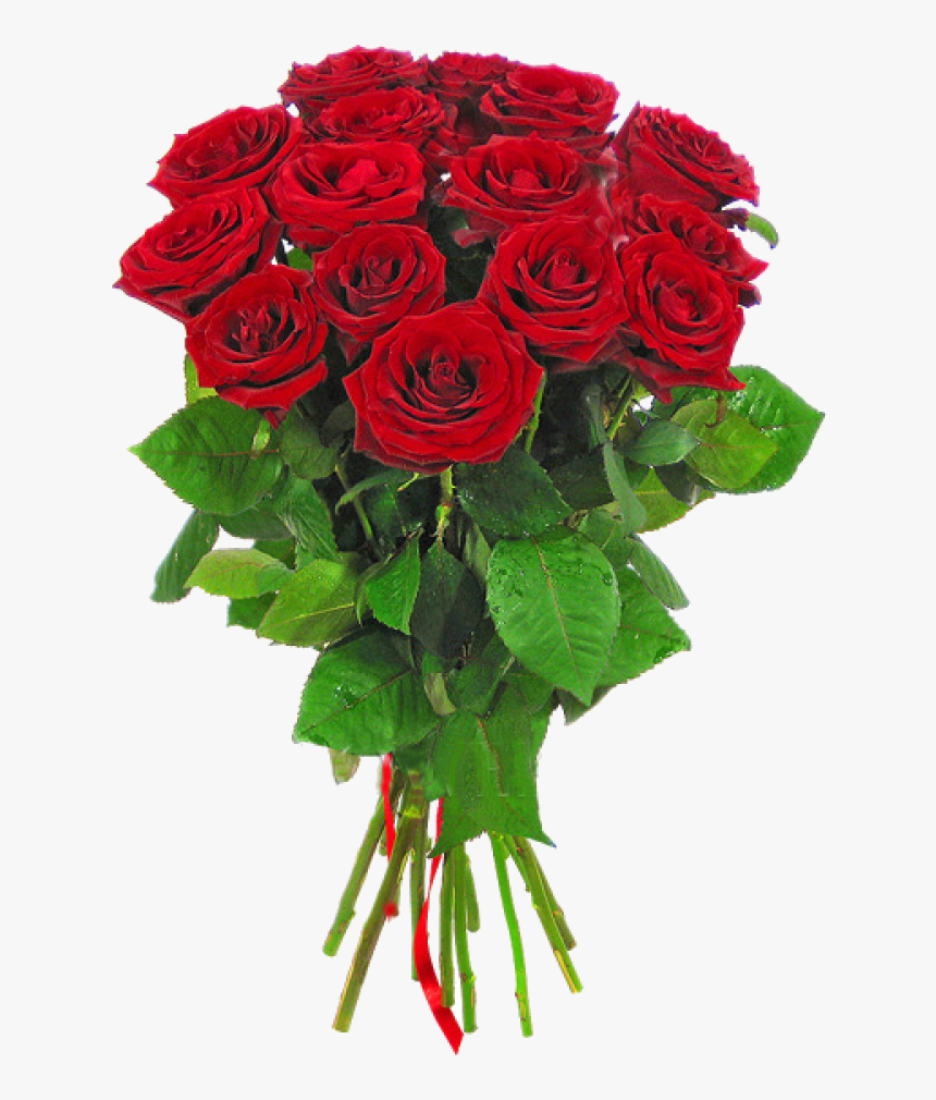 Long Stem Rose Png , Png Download - Букет Красных Роз Пнг, Transparent Png