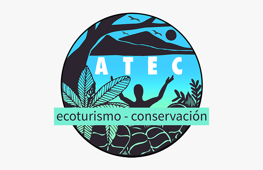 Asociación Talamanqueña Ecoturismo Conservación - Emblem, HD Png Download