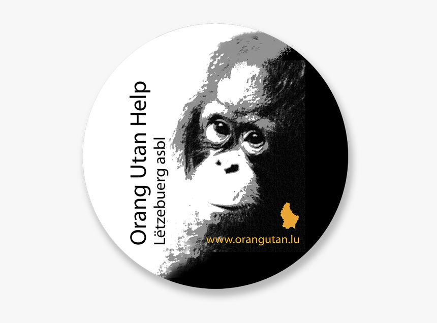 Orang Utan Help Letzebuerg, HD Png Download