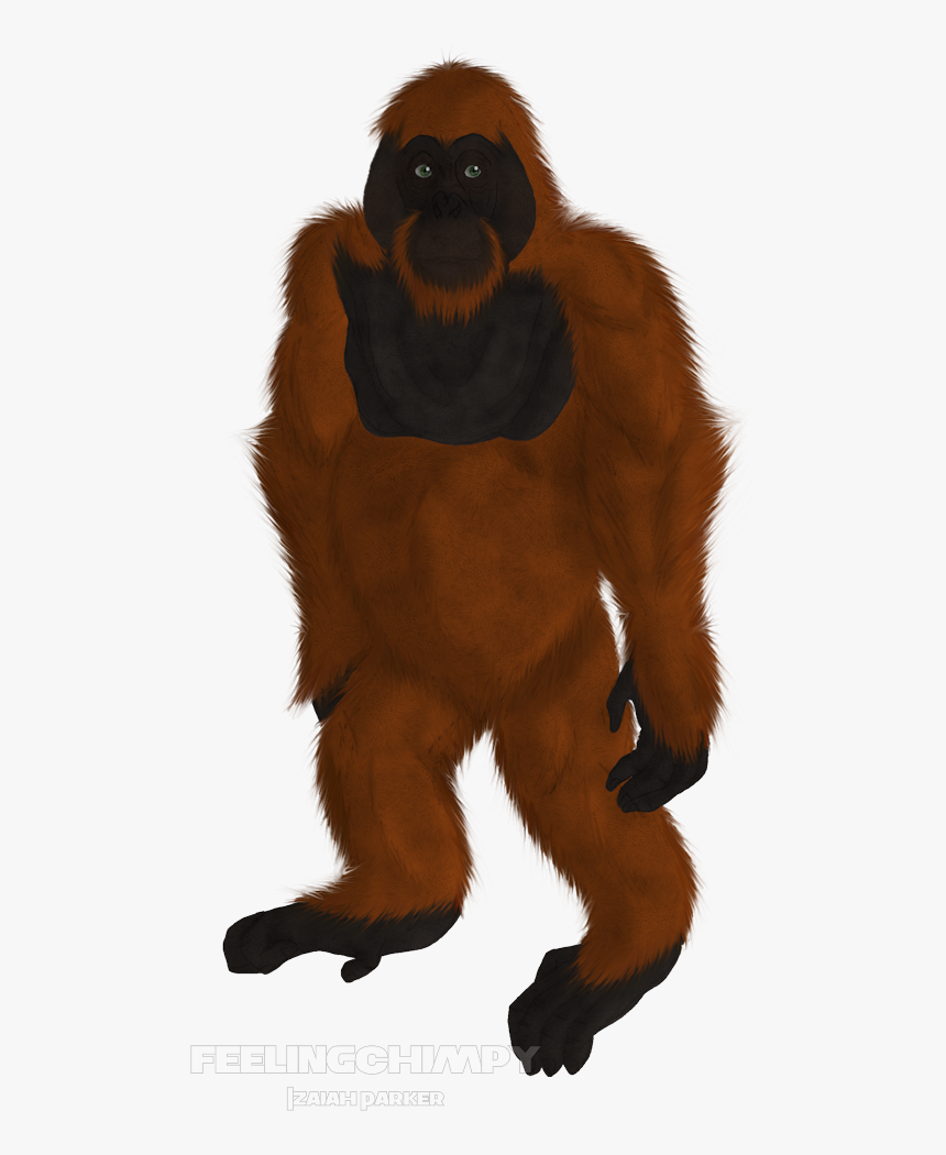 Scrapped Orangutan - Monkey, HD Png Download