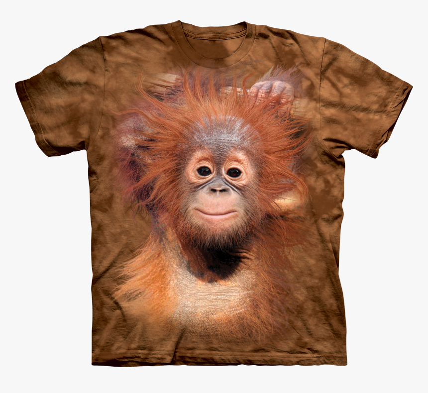 Baby Orangutan Cool Tees And Gear - Animal T Shirts, HD Png Download
