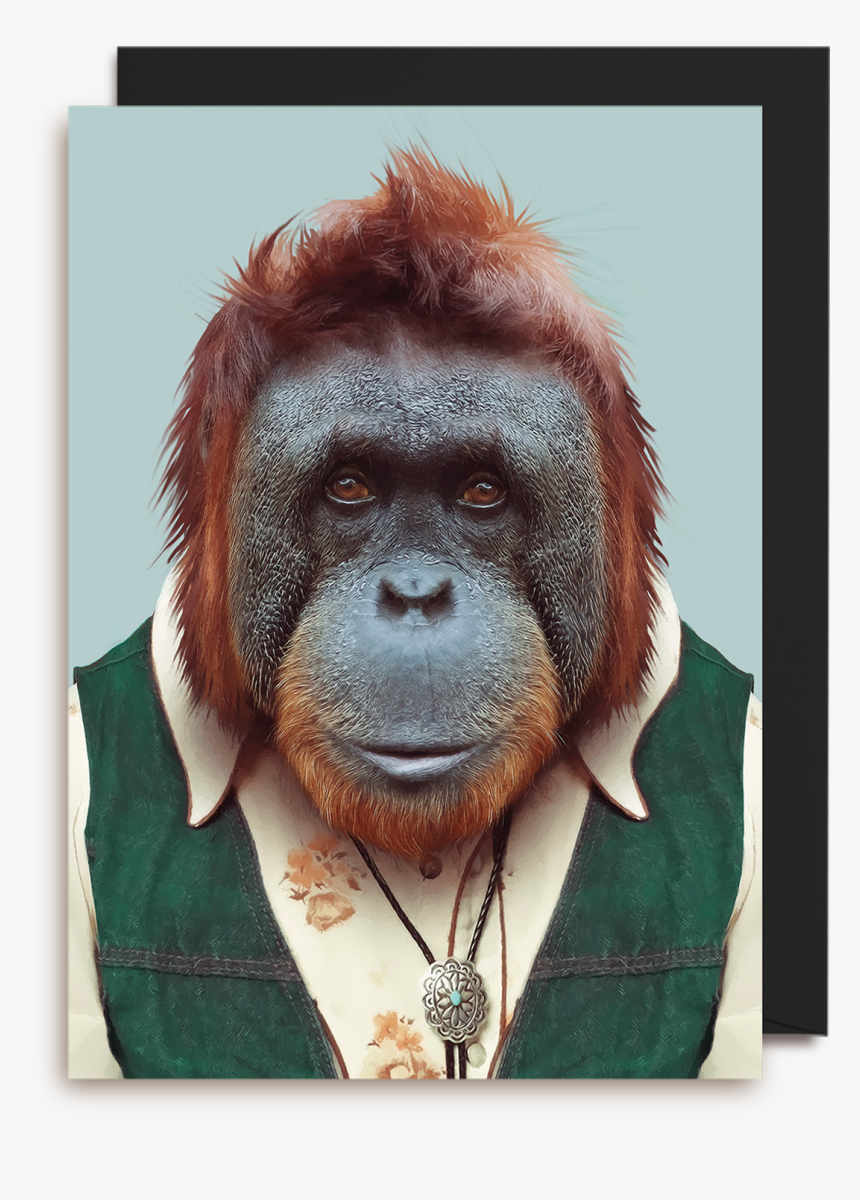 Ảnh Động Đười Ươi, HD Png Download