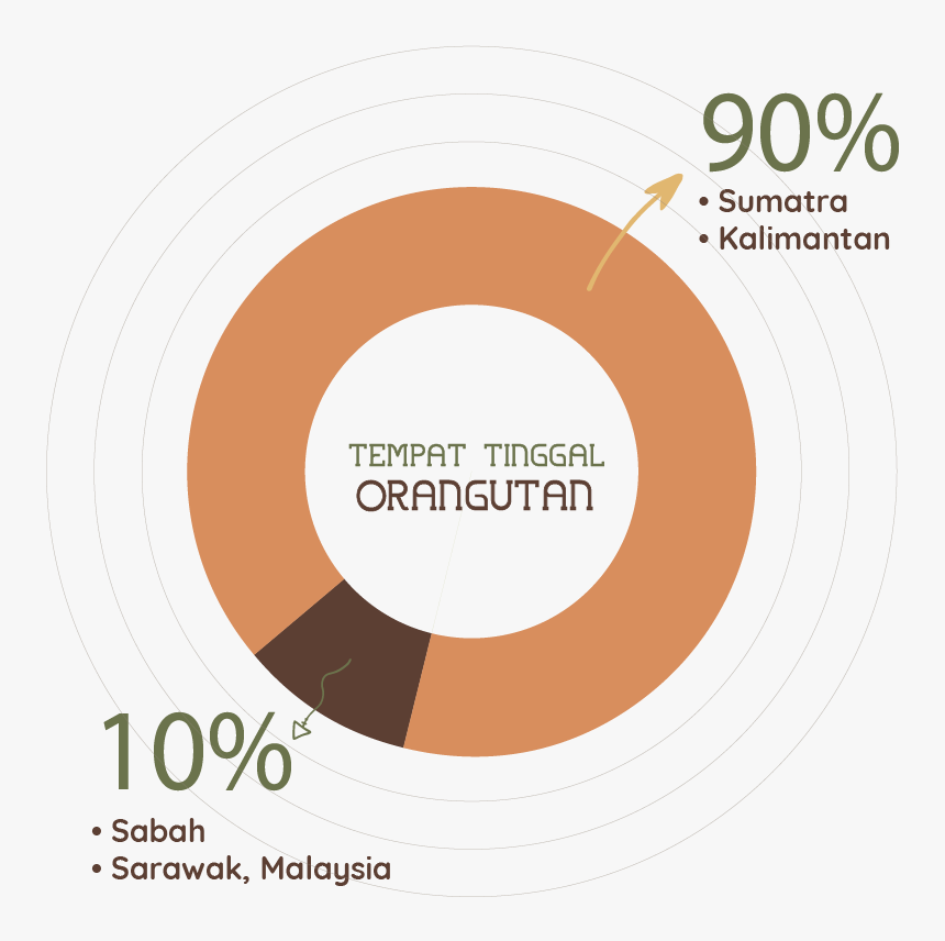 Circle, HD Png Download