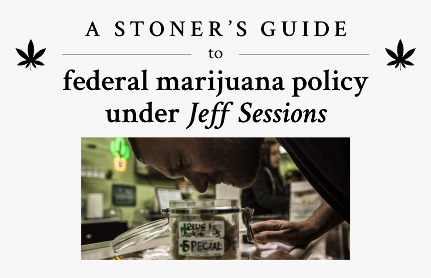 Miley Cyrus Last Tweet, HD Png Download