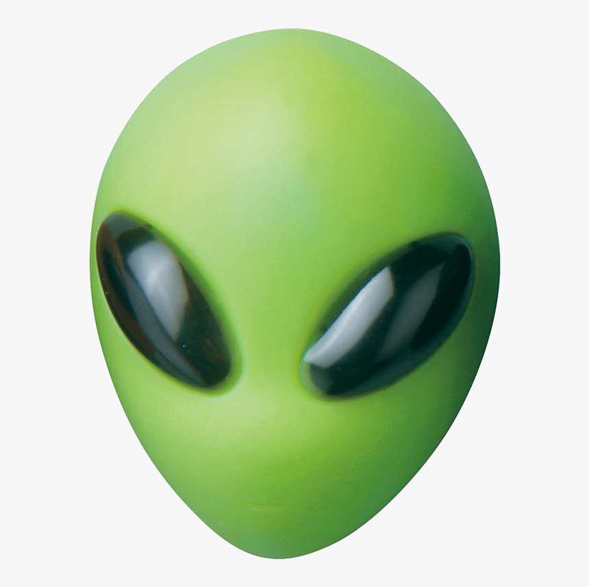 Invertebrate, HD Png Download