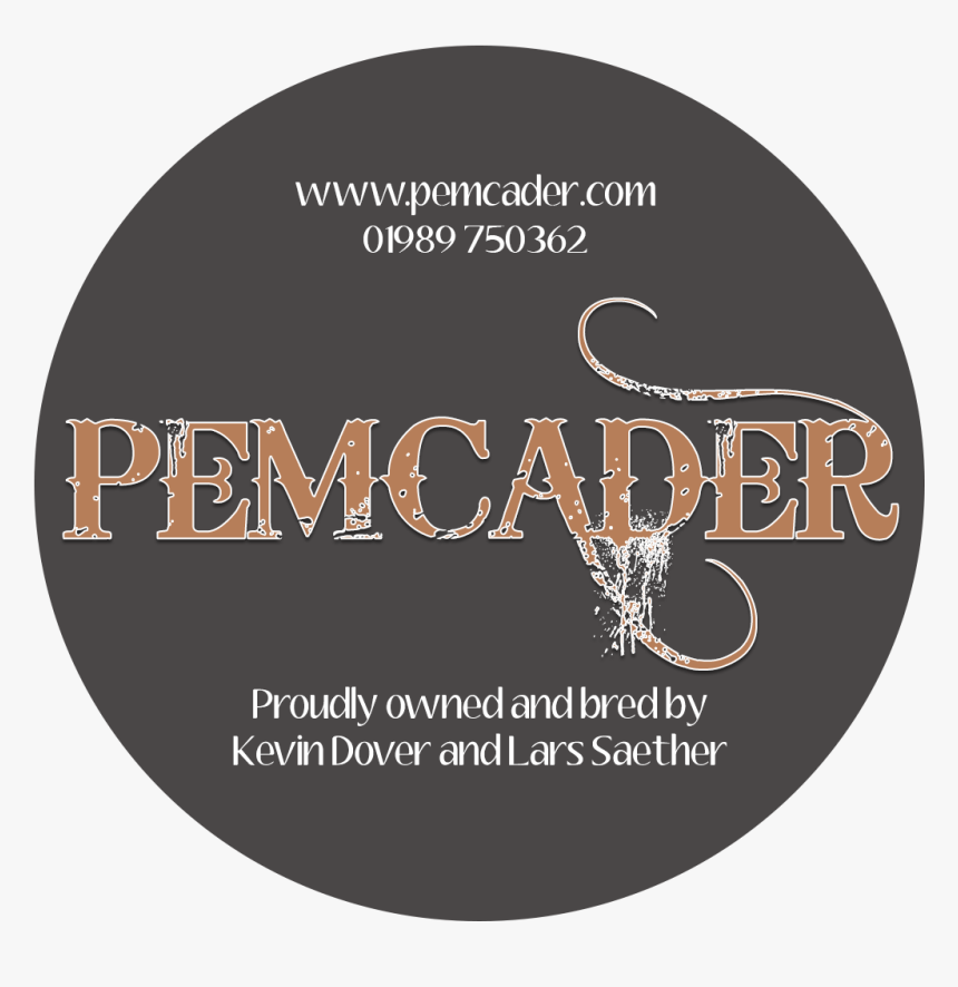 Transparent Zara Logo Png - Trafik Işaretleri, Png Download