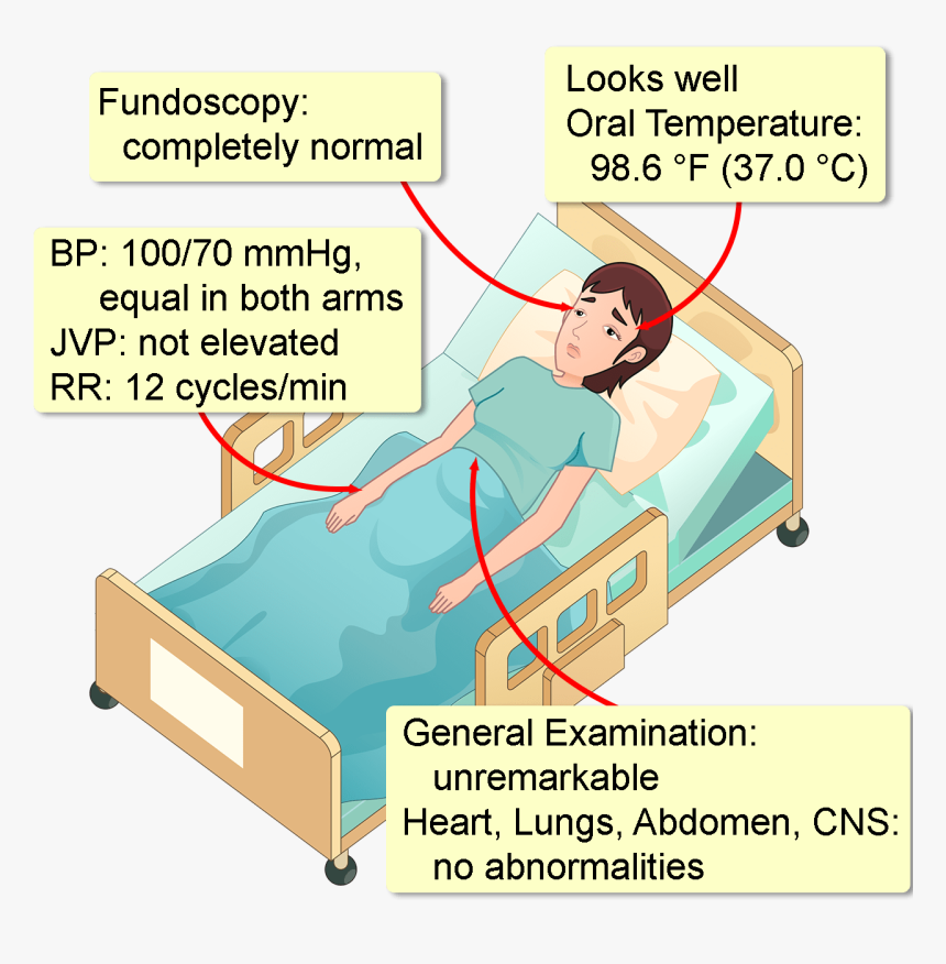 Bed Frame, HD Png Download