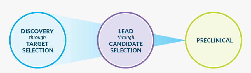 Discovery And Preclinical Web Graphic Transparent Bkgd - Discovery And Preclinical, HD Png Download