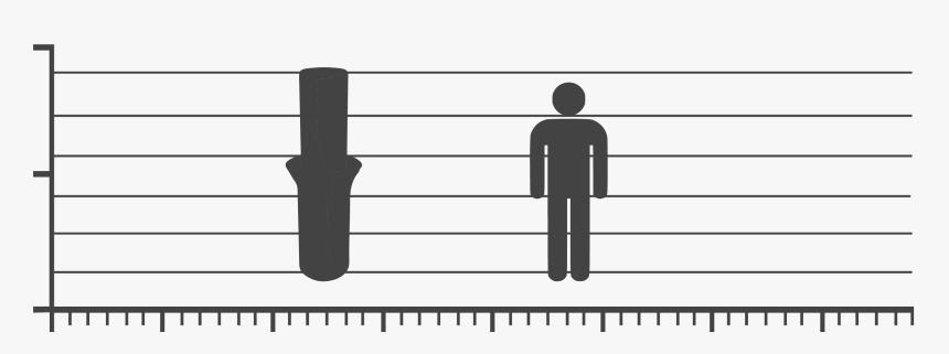 Musical Keyboard, HD Png Download