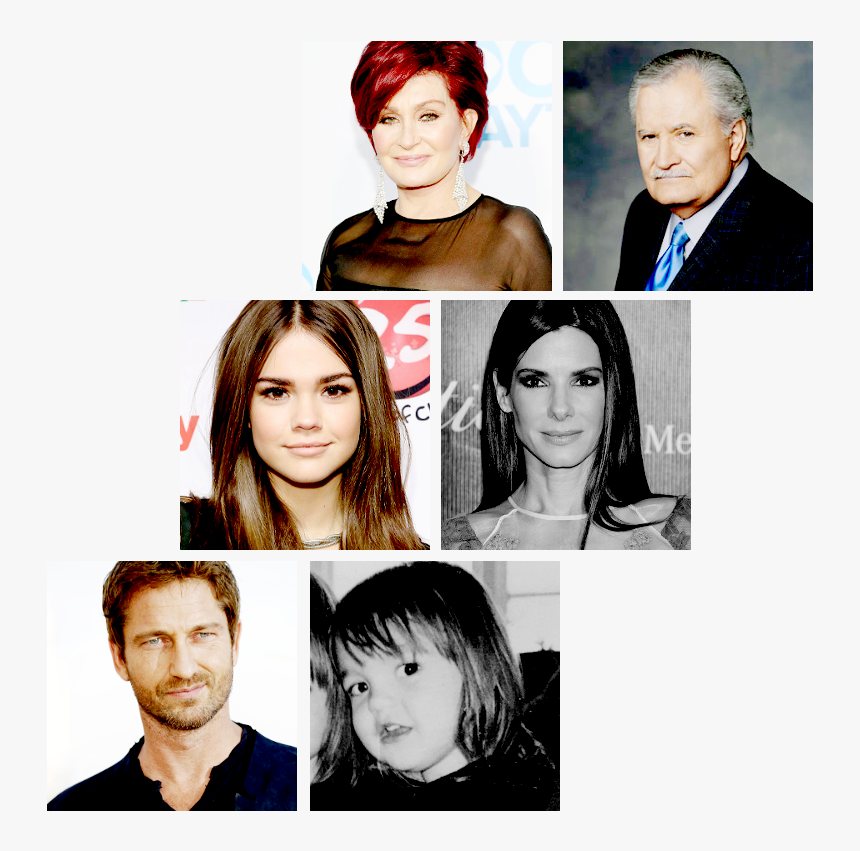 Collage, HD Png Download