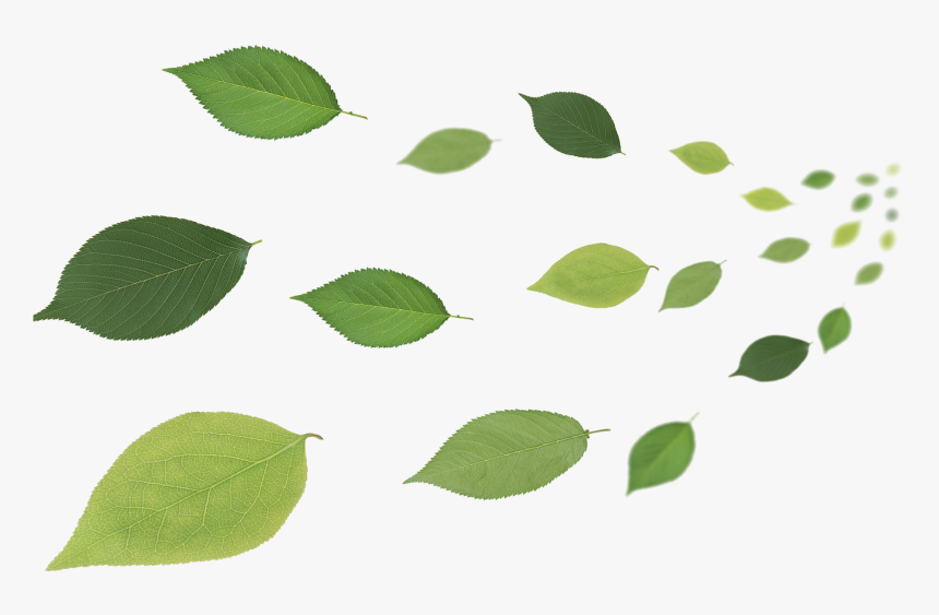 Leaf Desktop Wallpaper - Leaves In Air Png, Transparent Png