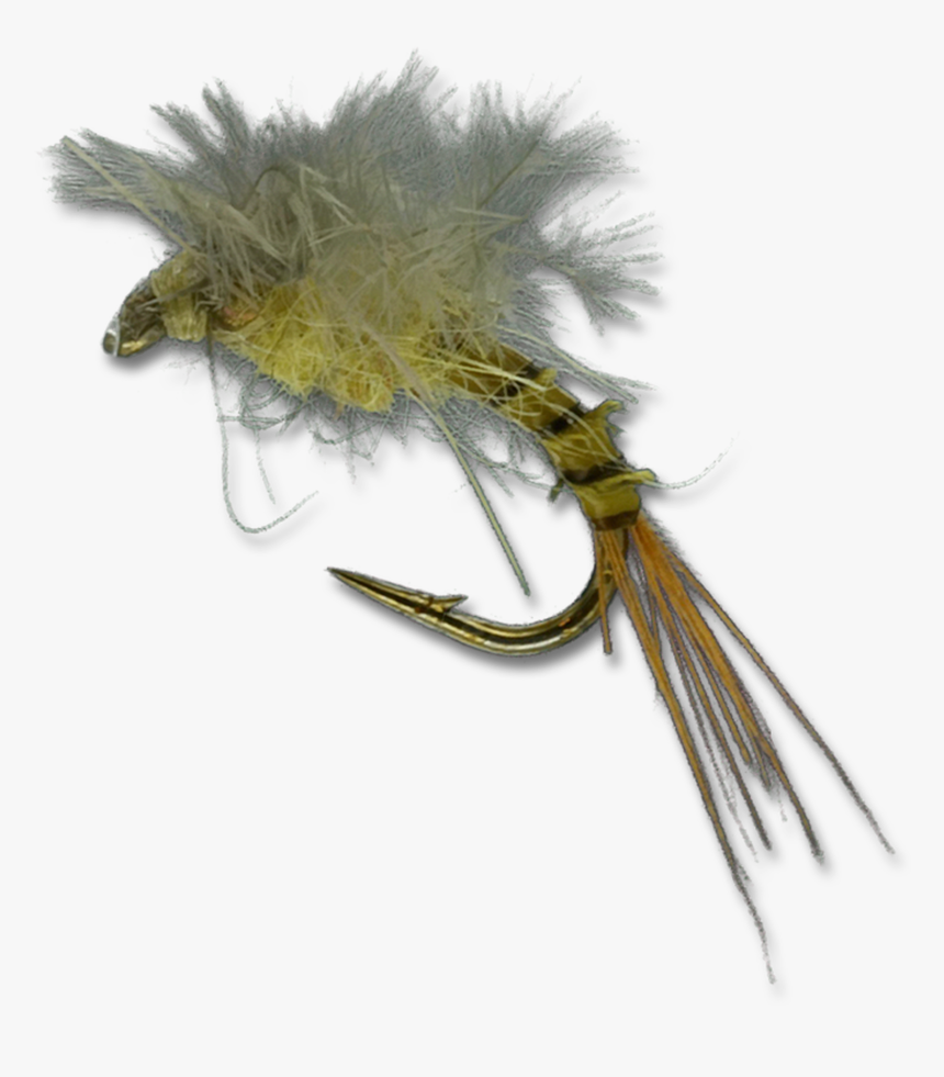 Bat Wing Emerger - Dandelion, HD Png Download