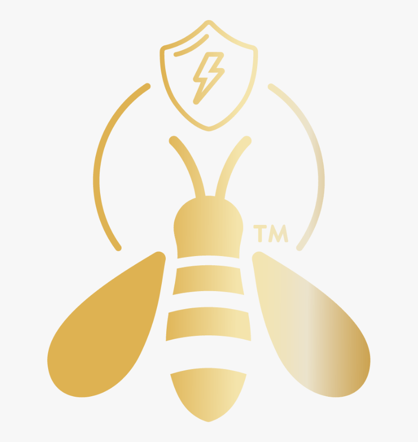 Honeybee, HD Png Download