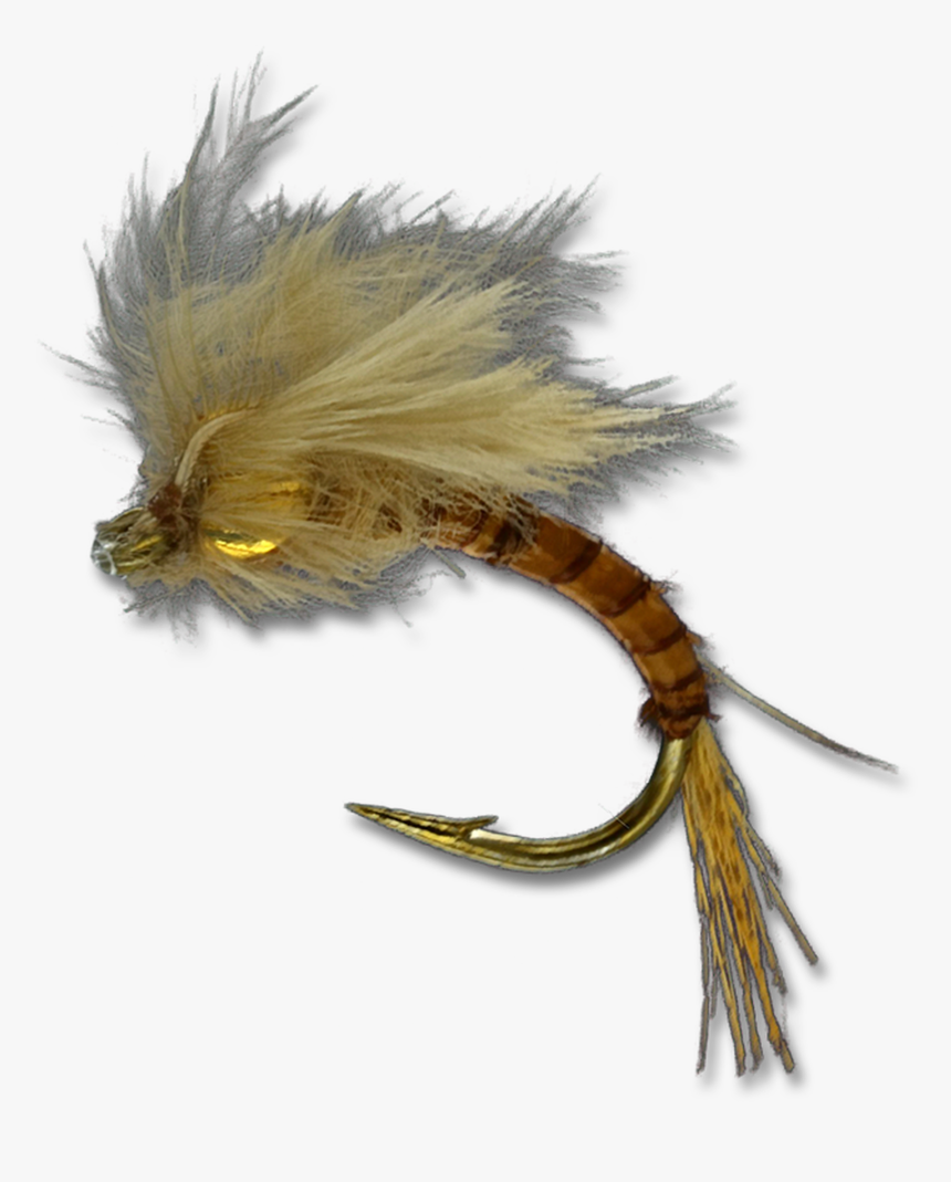 Bat Wing Emerger - Animal, HD Png Download