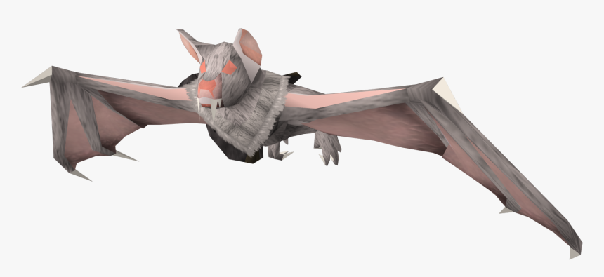 Albino Bat Png, Transparent Png