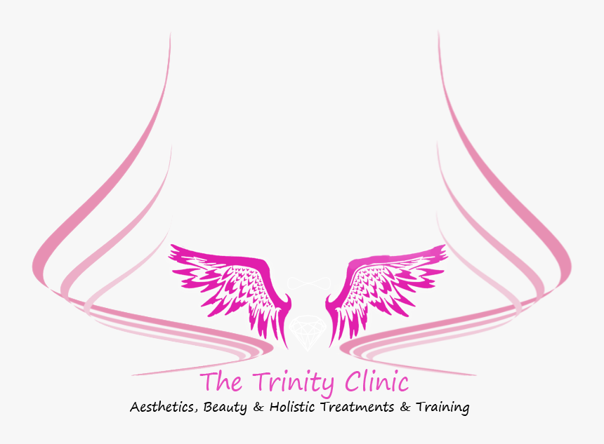 Outstretched Wings, HD Png Download