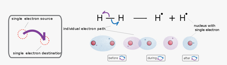 Diagram, HD Png Download