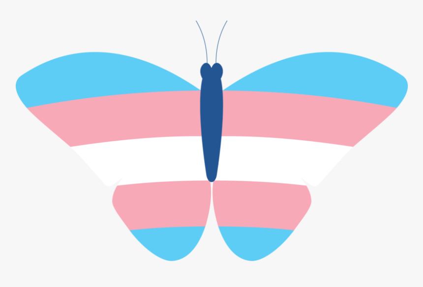 Butterfly, HD Png Download