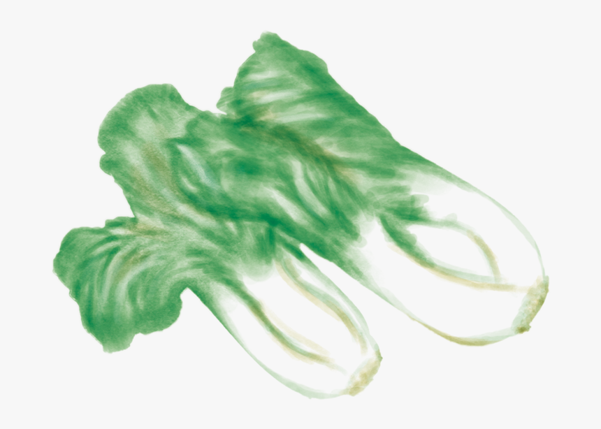 Ps Bokchoy - Tattoo, HD Png Download