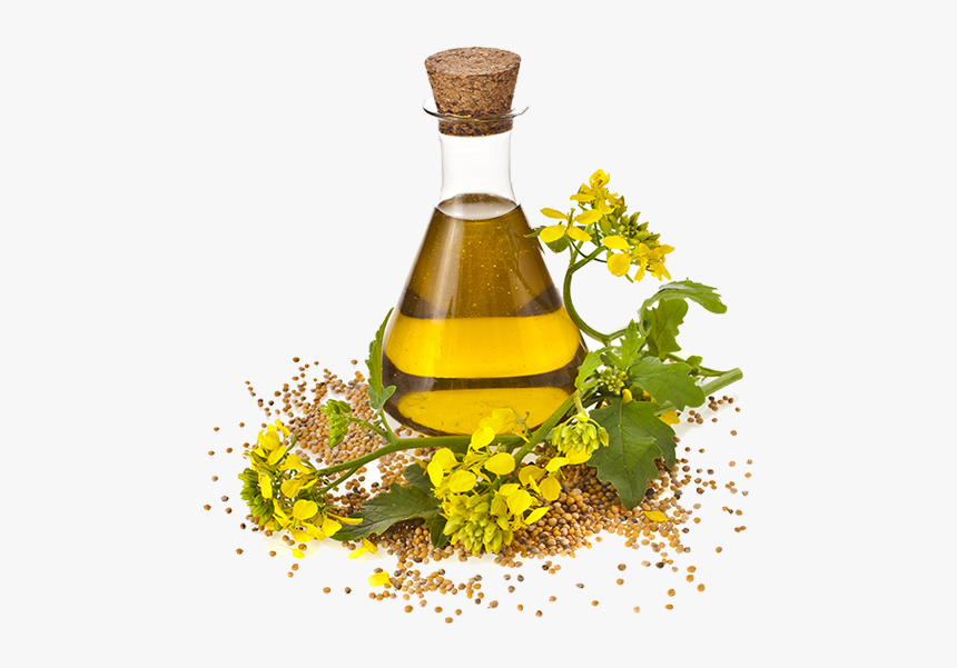 Canola Oil Made, HD Png Download