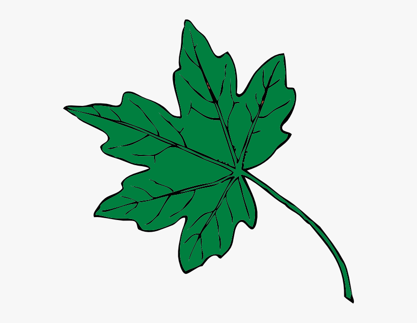 Mid Green Maple Leaf Clip Art At Clker - Thanksgiving Leaf Clip Art, HD Png Download