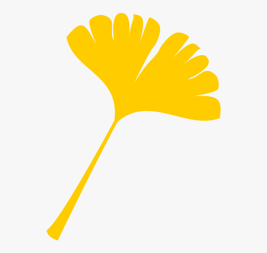 Ginkgo Biloba Autumn Leaf Color Computer Icons Maple - Yellow Ginkgo Leaf Clipart, HD Png Download