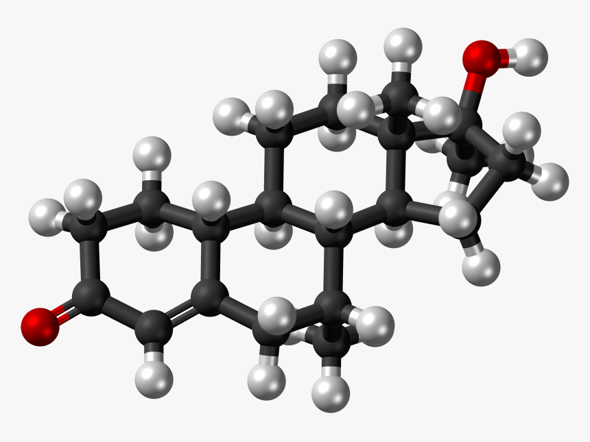 Mibolerone Molecule Ball - Progesterone Molecule Structure, HD Png Download