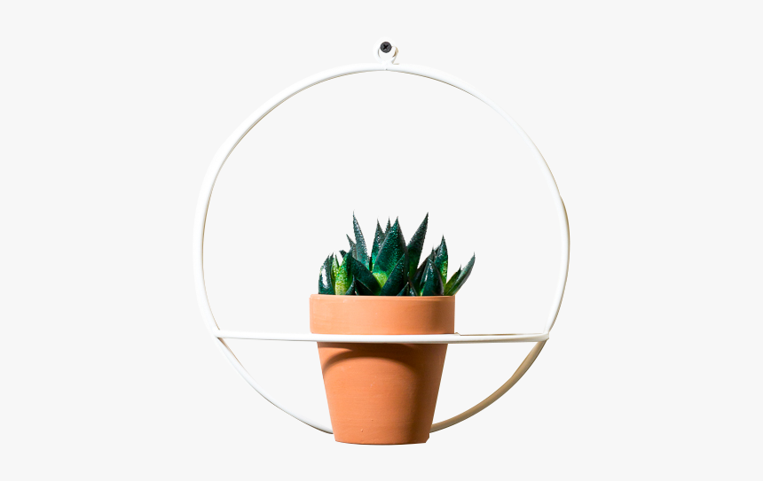 Image (1) (1) - Flowerpot, HD Png Download