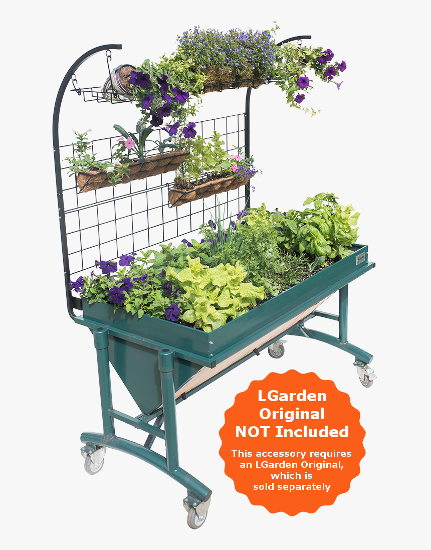 Houseplant, HD Png Download