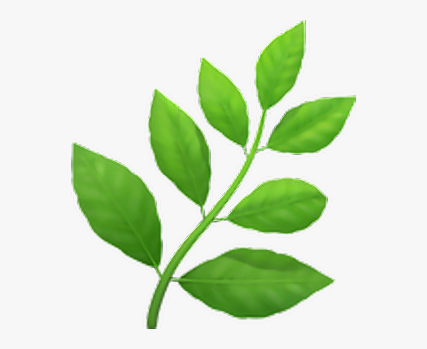 #emoji #emojisticker #plant - Herb Emoji Transparent, HD Png Download