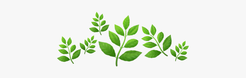 Plant Emoji Crown, HD Png Download