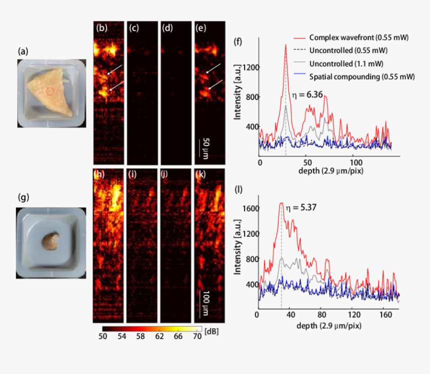 Diagram, HD Png Download