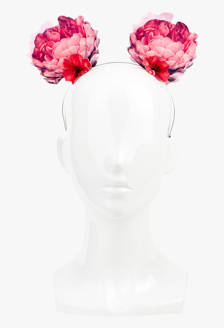 Common Peony, HD Png Download