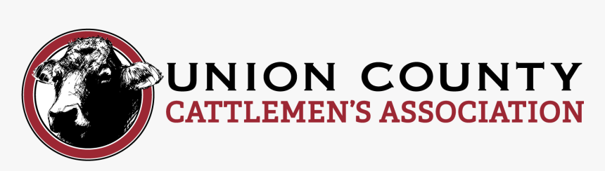 America S Best Communities - Rasmussen College, HD Png Download