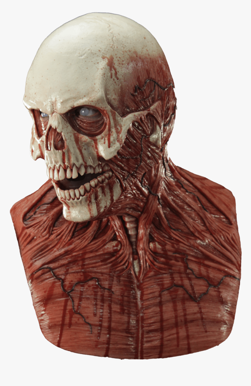 Silicone Flesh Skull Mask, HD Png Download