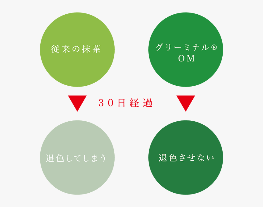 Circle, HD Png Download