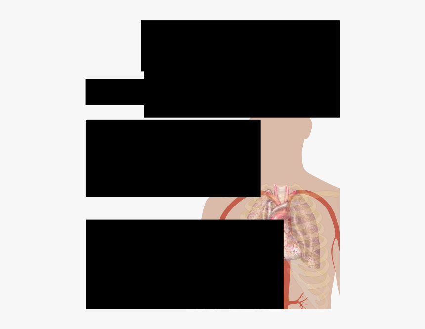 Health Effects Of Chocolate - Style, HD Png Download