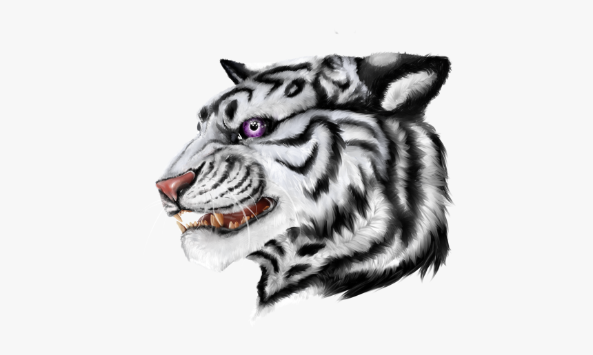 Siberian Tiger, HD Png Download
