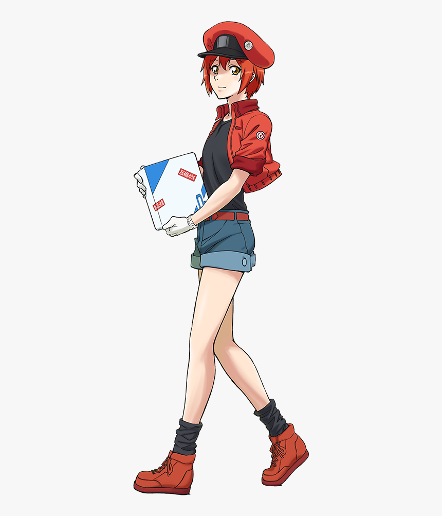 Https - //static - Tvtropes - Anime - Cells At Work, HD Png Download