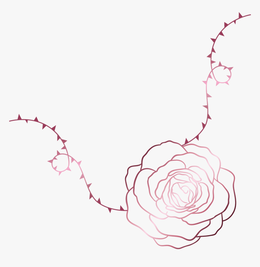 Like A Rose Growing Amongst The Thorns, These Brushes, HD Png Download