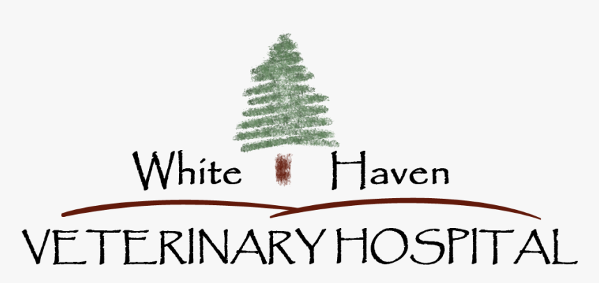 Thorn Vine Png, Transparent Png