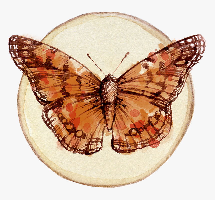 Butterfly, Scrapbooking, Embellishment, Tag, Watercolor, HD Png Download