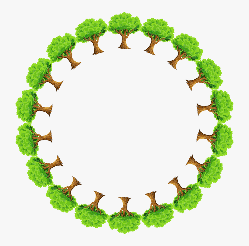 Nature, Plant, Tree, Arboreal, Green, Ecological, HD Png Download