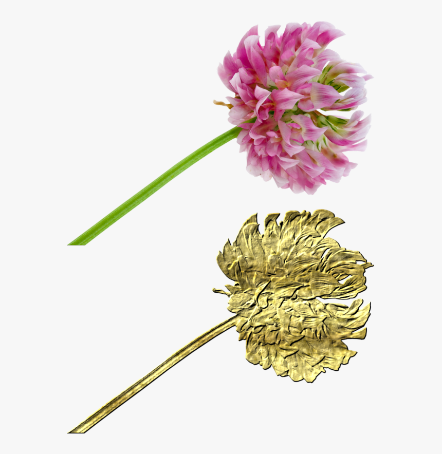 Create Gold Elements, HD Png Download