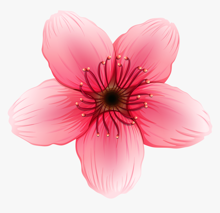 Transparent Hanging Flowers Png, Png Download