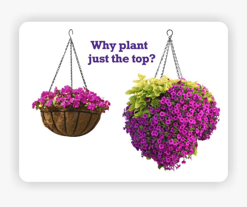 Hanging Flowers Png, Transparent Png