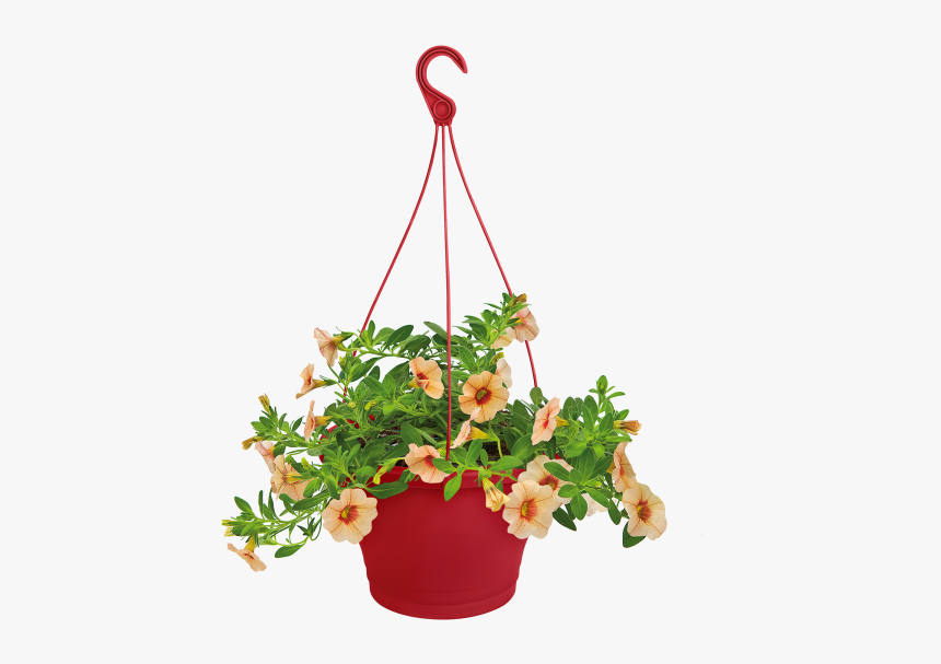 Hanging Flowers Png, Transparent Png